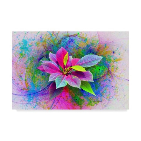 Ata Alishahi 'Flower Design 7N' Canvas Art,16x24